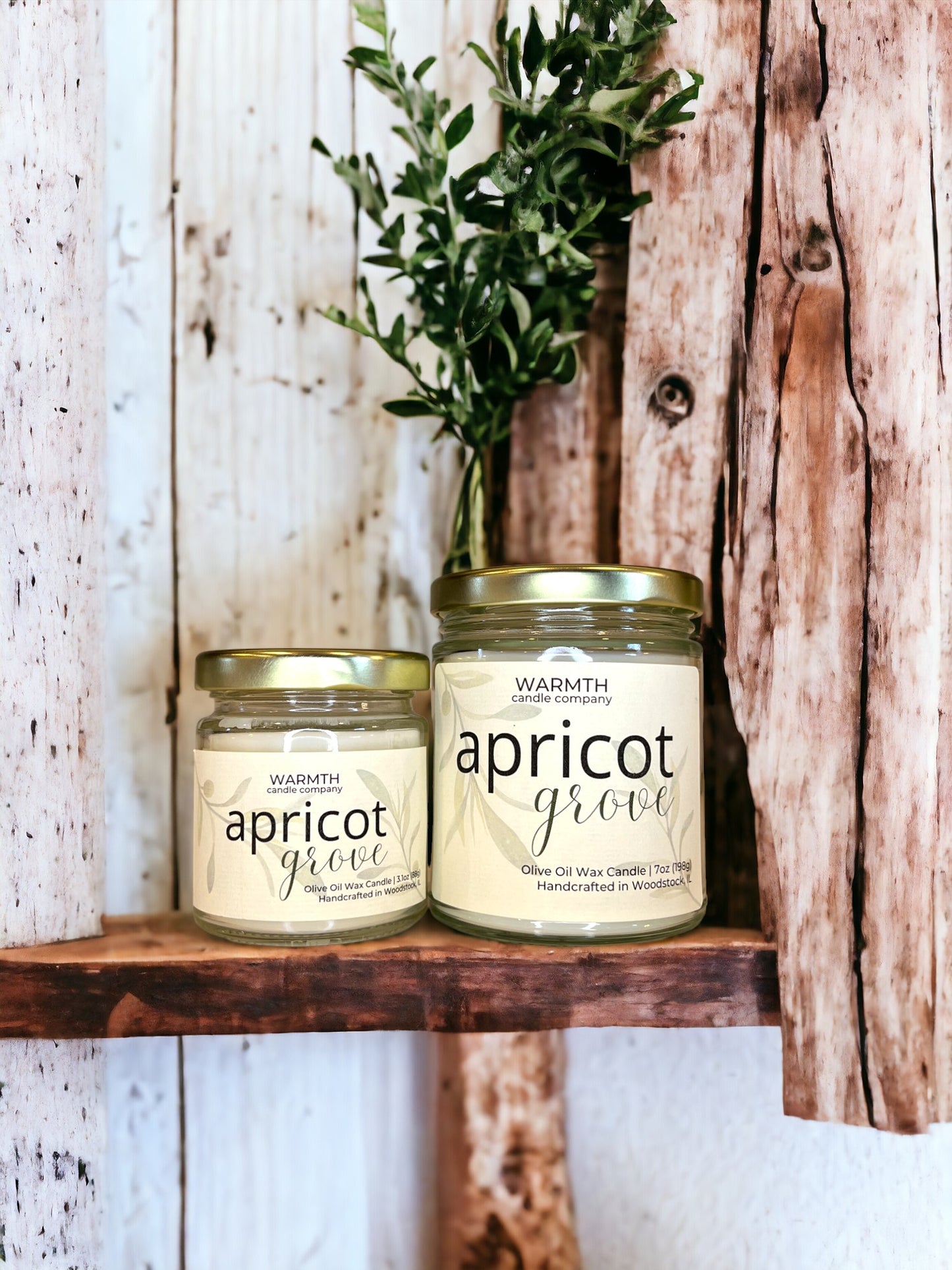 Apricot Grove Candle